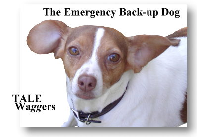 The Emergency Back-up Dog